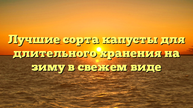 Лучшие сорта капусты для длительного хранения на зиму в свежем виде