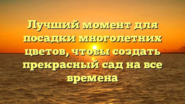 Лучший момент для посадки многолетних цветов, чтобы создать прекрасный сад на все времена