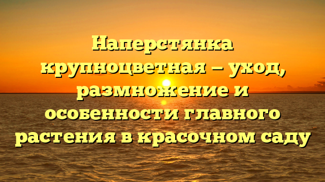 Наперстянка крупноцветная — уход, размножение и особенности главного растения в красочном саду