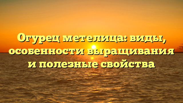 Огурец метелица: виды, особенности выращивания и полезные свойства