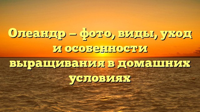 Олеандр — фото, виды, уход и особенности выращивания в домашних условиях