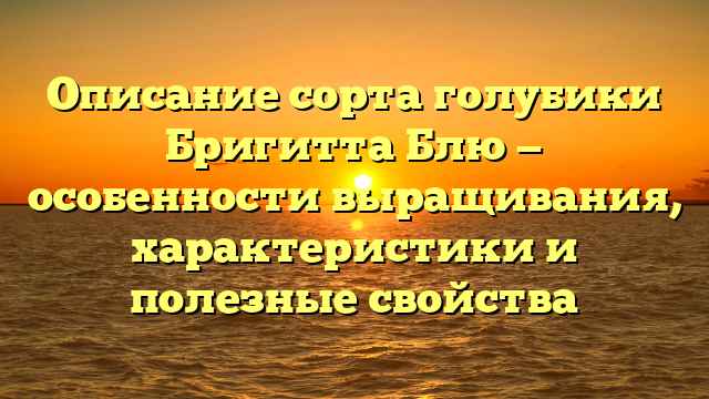 Описание сорта голубики Бригитта Блю — особенности выращивания, характеристики и полезные свойства