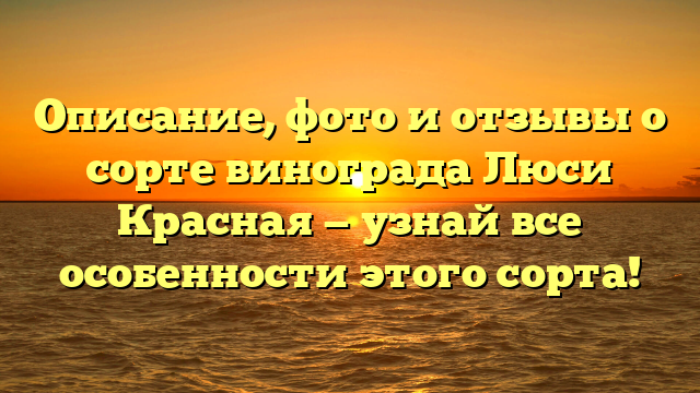 Описание, фото и отзывы о сорте винограда Люси Красная — узнай все особенности этого сорта!