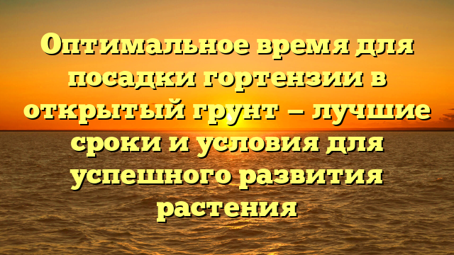 Оптимальное время для посадки гортензии в открытый грунт — лучшие сроки и условия для успешного развития растения