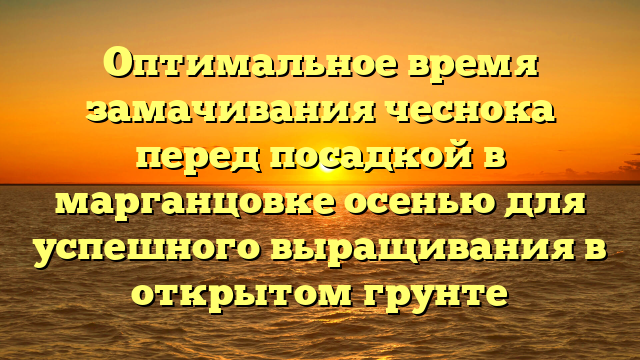 Оптимальное время замачивания чеснока перед посадкой в марганцовке осенью для успешного выращивания в открытом грунте