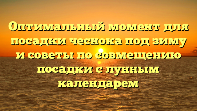 Оптимальный момент для посадки чеснока под зиму и советы по совмещению посадки с лунным календарем