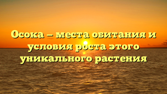 Осока — места обитания и условия роста этого уникального растения