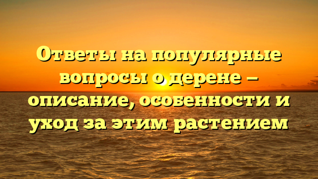 Ответы на популярные вопросы о дерене — описание, особенности и уход за этим растением