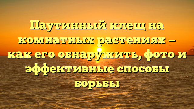 Паутинный клещ на комнатных растениях — как его обнаружить, фото и эффективные способы борьбы