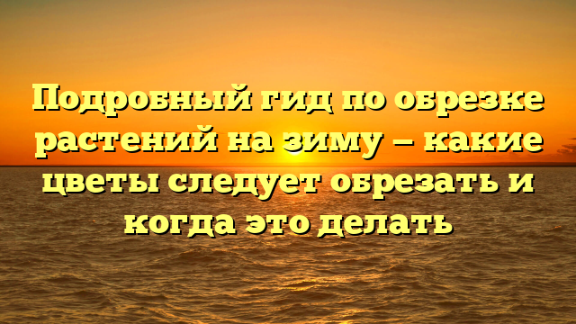 Подробный гид по обрезке растений на зиму — какие цветы следует обрезать и когда это делать