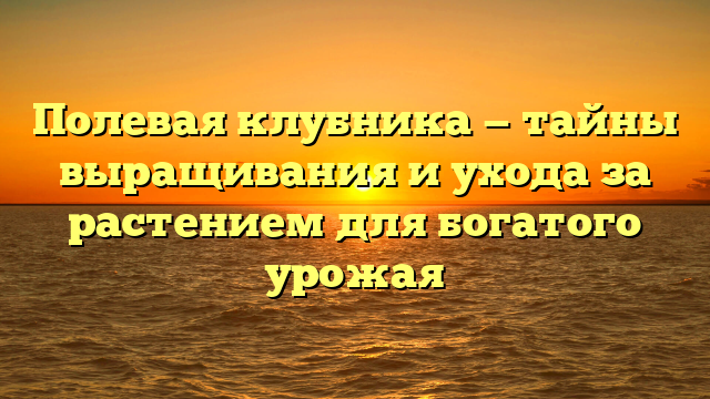 Полевая клубника — тайны выращивания и ухода за растением для богатого урожая