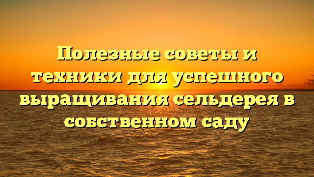 Полезные советы и техники для успешного выращивания сельдерея в собственном саду