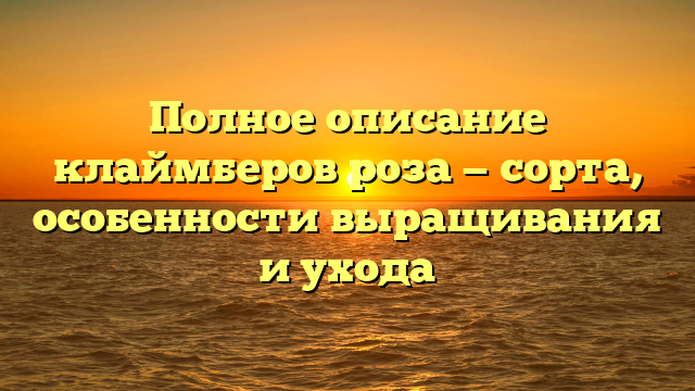 Полное описание клаймберов роза — сорта, особенности выращивания и ухода