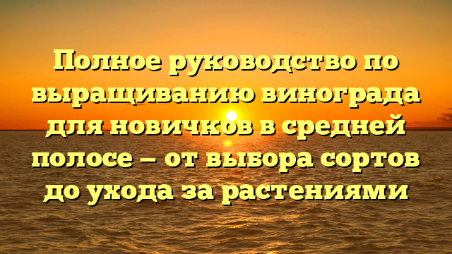 Полное руководство по выращиванию винограда для новичков в средней полосе — от выбора сортов до ухода за растениями