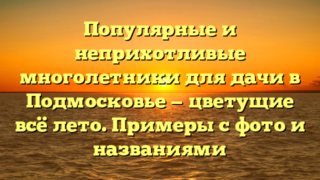 Популярные и неприхотливые многолетники для дачи в Подмосковье — цветущие всё лето. Примеры с фото и названиями