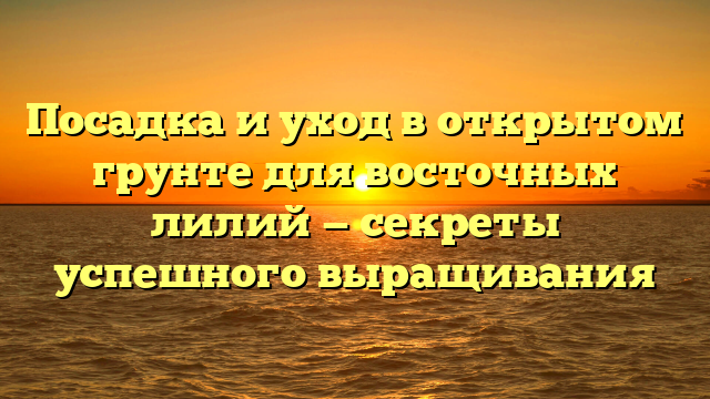 Посадка и уход в открытом грунте для восточных лилий — секреты успешного выращивания