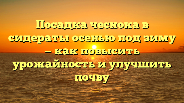 Посадка чеснока в сидераты осенью под зиму — как повысить урожайность и улучшить почву