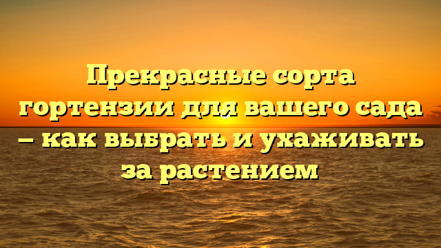 Прекрасные сорта гортензии для вашего сада — как выбрать и ухаживать за растением