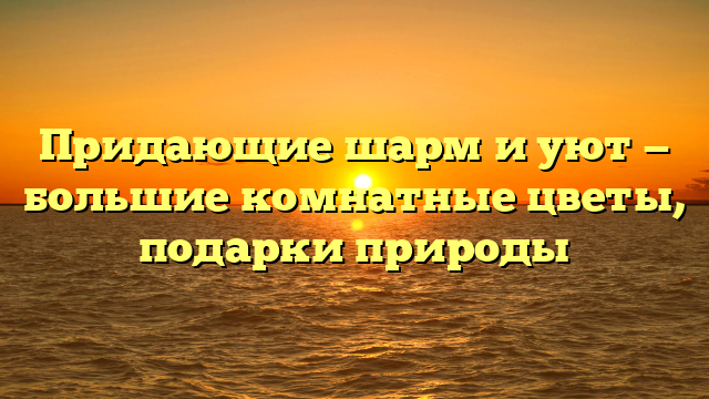 Придающие шарм и уют — большие комнатные цветы, подарки природы