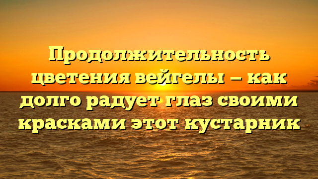 Продолжительность цветения вейгелы — как долго радует глаз своими красками этот кустарник