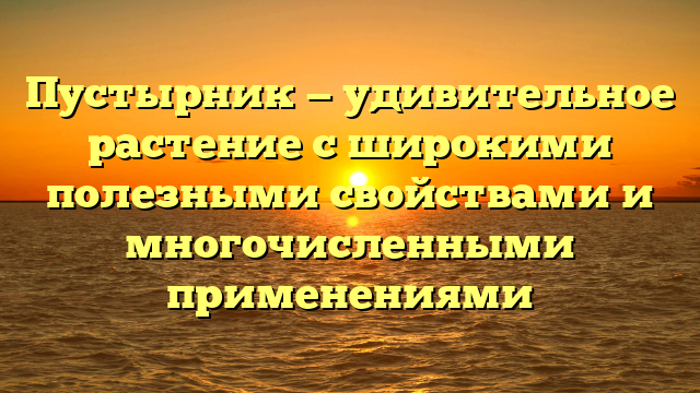 Пустырник — удивительное растение с широкими полезными свойствами и многочисленными применениями