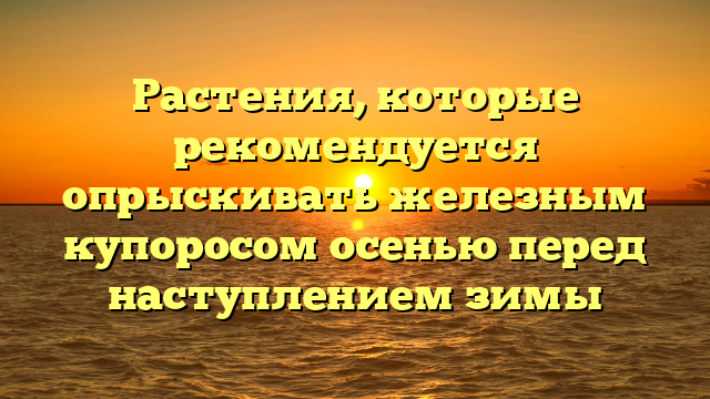 Растения, которые рекомендуется опрыскивать железным купоросом осенью перед наступлением зимы