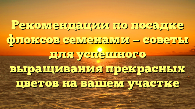 Рекомендации по посадке флоксов семенами — советы для успешного выращивания прекрасных цветов на вашем участке