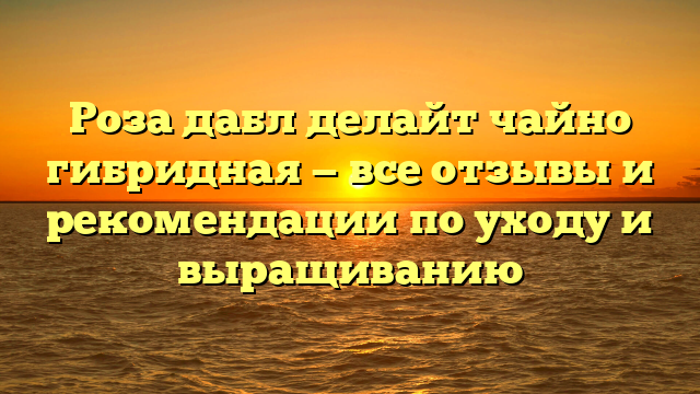 Роза дабл делайт чайно гибридная — все отзывы и рекомендации по уходу и выращиванию