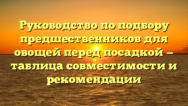 Руководство по подбору предшественников для овощей перед посадкой — таблица совместимости и рекомендации