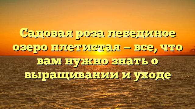 Садовая роза лебединое озеро плетистая — все, что вам нужно знать о выращивании и уходе