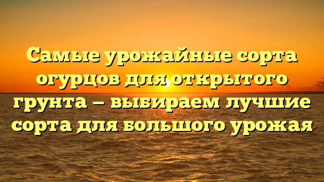 Самые урожайные сорта огурцов для открытого грунта — выбираем лучшие сорта для большого урожая