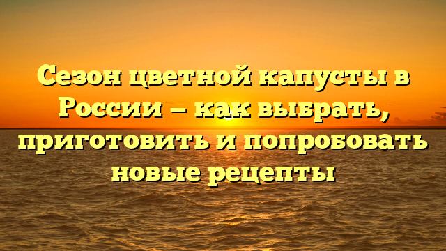 Сезон цветной капусты в России — как выбрать, приготовить и попробовать новые рецепты