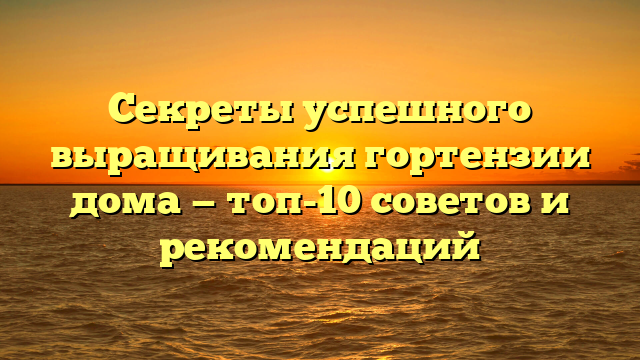 Секреты успешного выращивания гортензии дома — топ-10 советов и рекомендаций