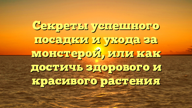 Секреты успешного посадки и ухода за монстерой, или как достичь здорового и красивого растения