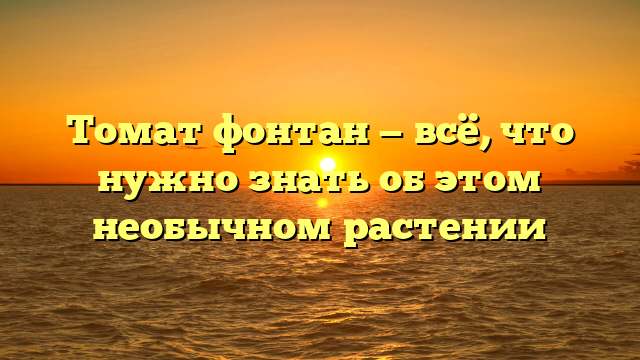 Томат фонтан — всё, что нужно знать об этом необычном растении