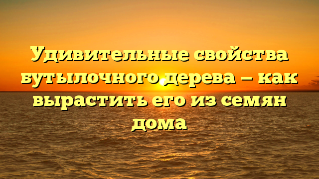 Удивительные свойства бутылочного дерева — как вырастить его из семян дома