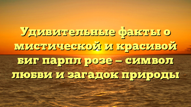 Удивительные факты о мистической и красивой биг парпл розе — символ любви и загадок природы