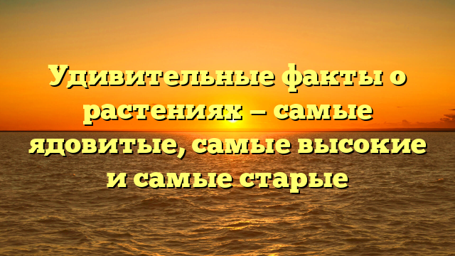 Удивительные факты о растениях — самые ядовитые, самые высокие и самые старые