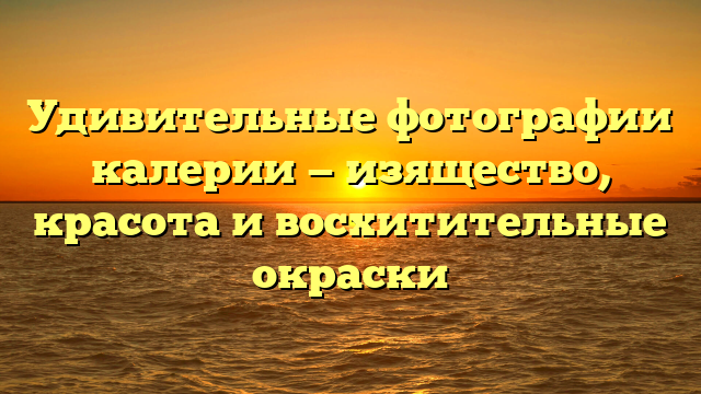 Удивительные фотографии калерии — изящество, красота и восхитительные окраски