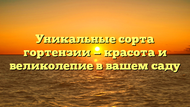 Уникальные сорта гортензии — красота и великолепие в вашем саду