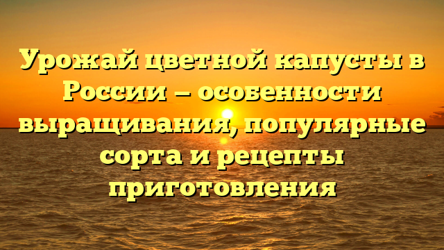 Урожай цветной капусты в России — особенности выращивания, популярные сорта и рецепты приготовления