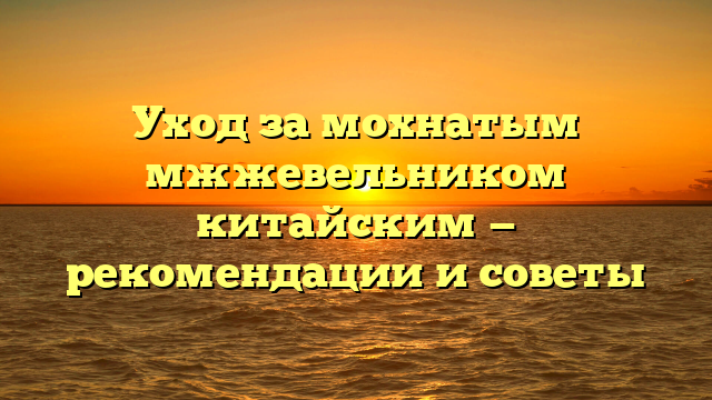 Уход за мохнатым мжжевельником китайским — рекомендации и советы