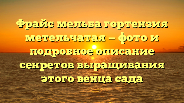 Фрайс мельба гортензия метельчатая — фото и подробное описание секретов выращивания этого венца сада