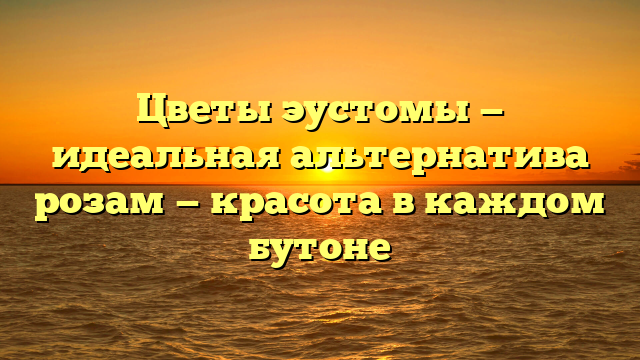 Цветы эустомы — идеальная альтернатива розам — красота в каждом бутоне