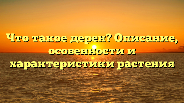 Что такое дерен? Описание, особенности и характеристики растения