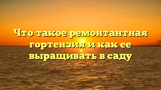 Что такое ремонтантная гортензия и как ее выращивать в саду