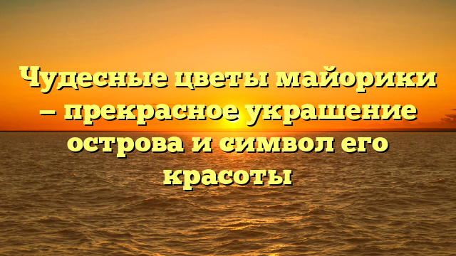 Чудесные цветы майорики — прекрасное украшение острова и символ его красоты