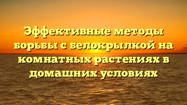 Эффективные методы борьбы с белокрылкой на комнатных растениях в домашних условиях