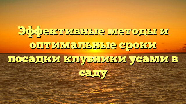 Эффективные методы и оптимальные сроки посадки клубники усами в саду