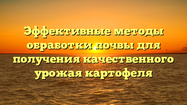 Эффективные методы обработки почвы для получения качественного урожая картофеля